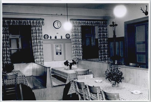 50399142 8306 schierling - 8306,