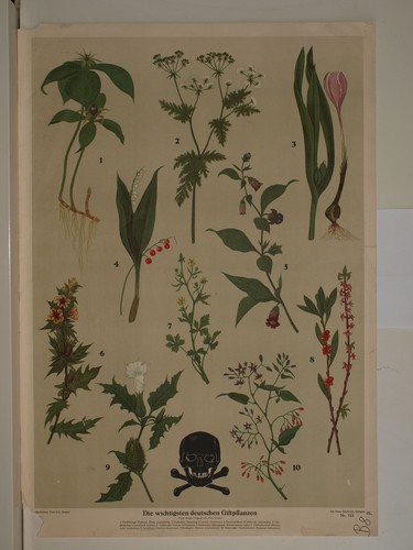 Wandbild wichtigste - wandbild, 10