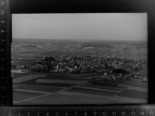 30098554 8306 schierling - 8306,