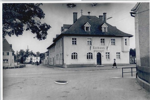 50399135 8306 schierling - 50399135,