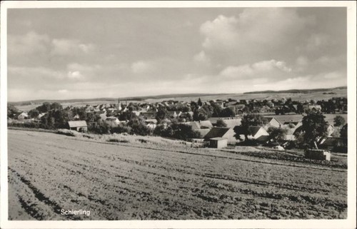 Schierling - ,