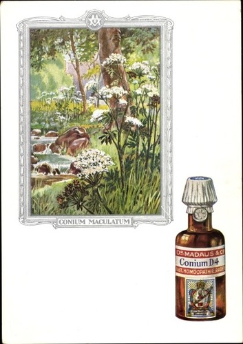 Künstler conium maculatum - künstler, ak